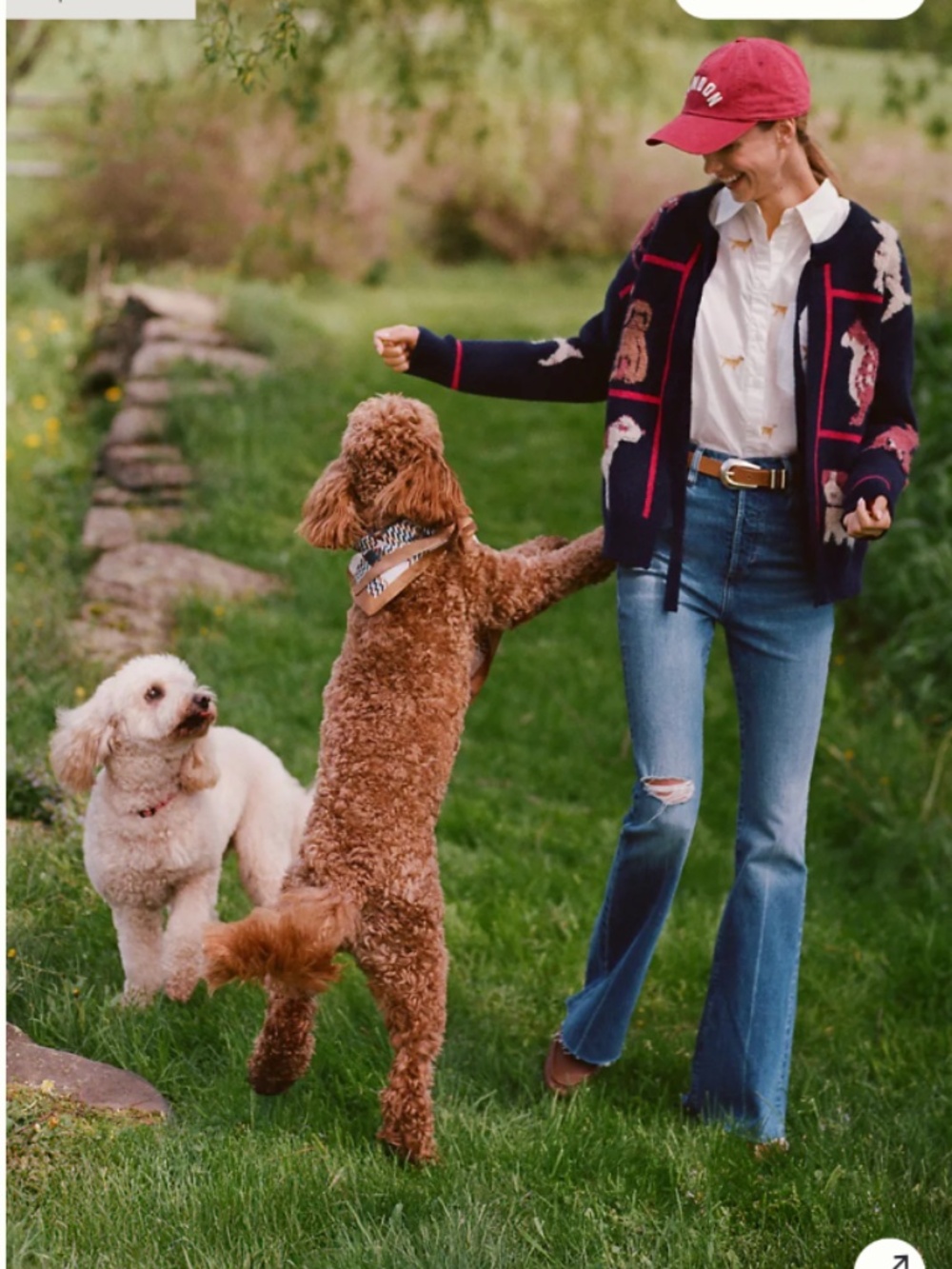 The Shrunken Bennet Buttondown Shirt by Maeve